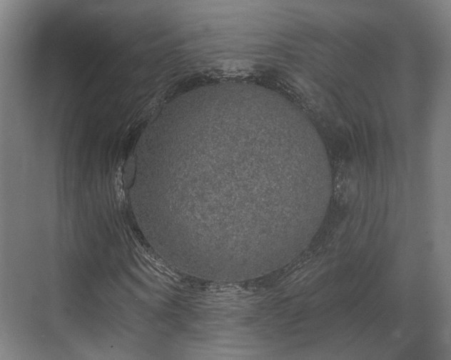 X0000070860866200606191314