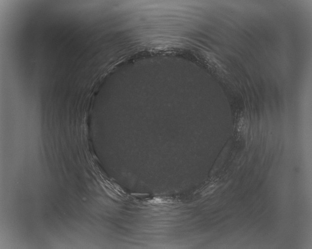 X0000070860868200606191314