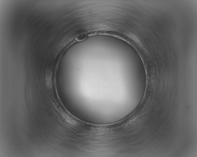 X0000070860873200606191314