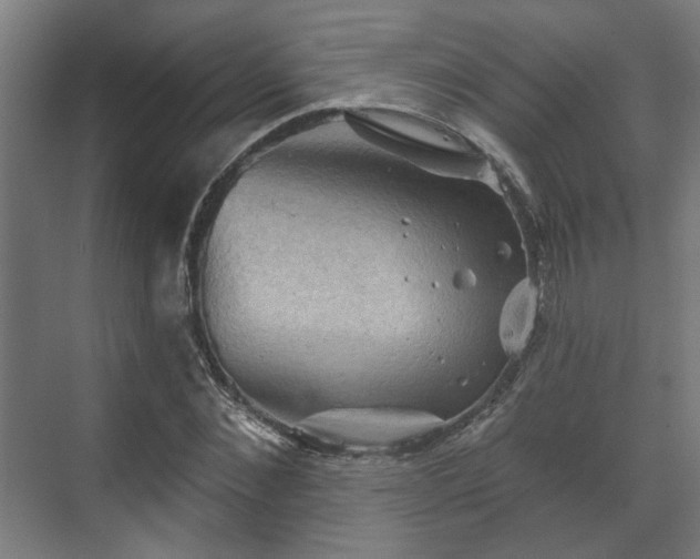 X0000070860876200606191314