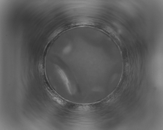 X0000070860882200606191313