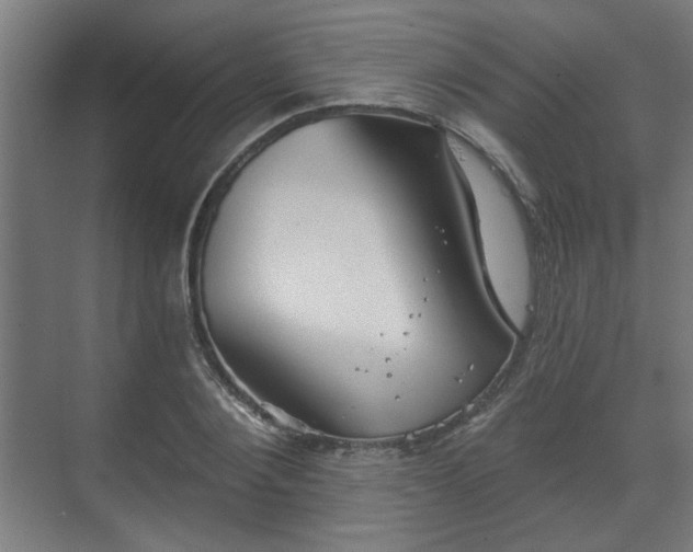 X0000070860884200606191313