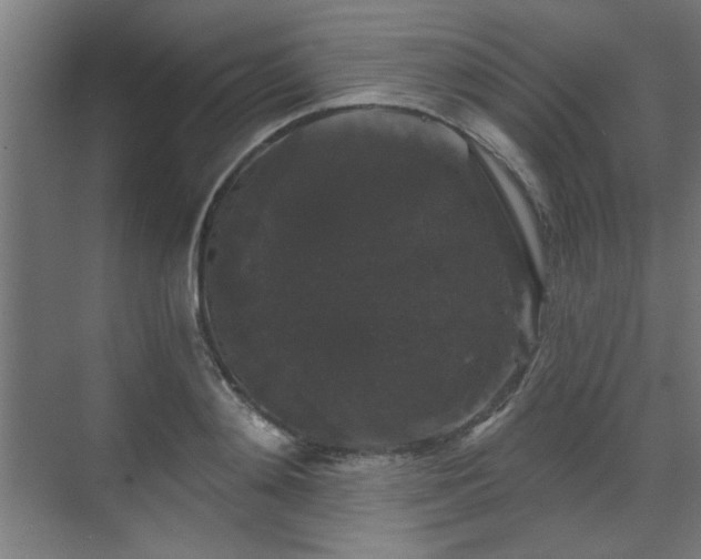 X0000070860892200606191313