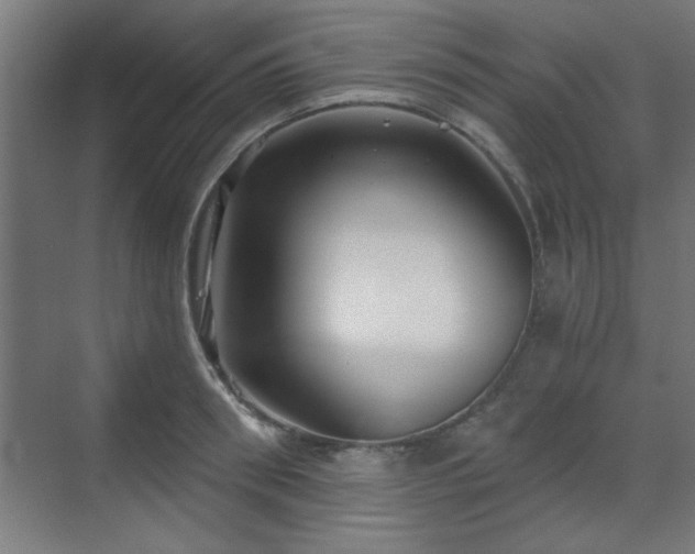 X0000070860898200606191313