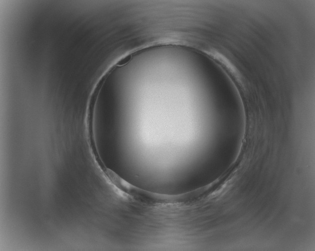X0000070860902200606191313