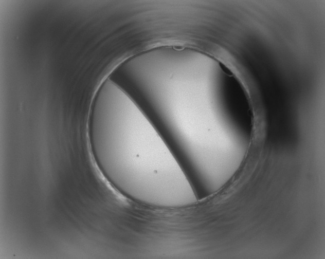 X0000070860906200606191313