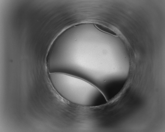 X0000070860908200606191313