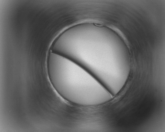 X0000070860910200606191313