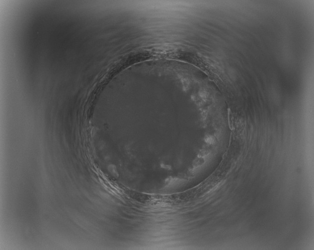 X0000070860913200606191312