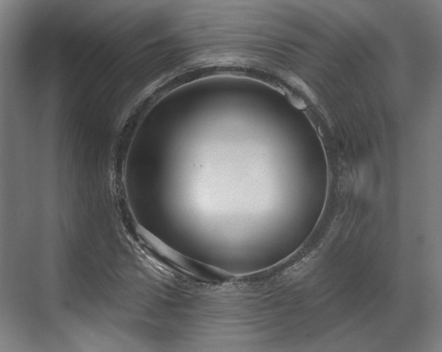 X0000070860922200606191312