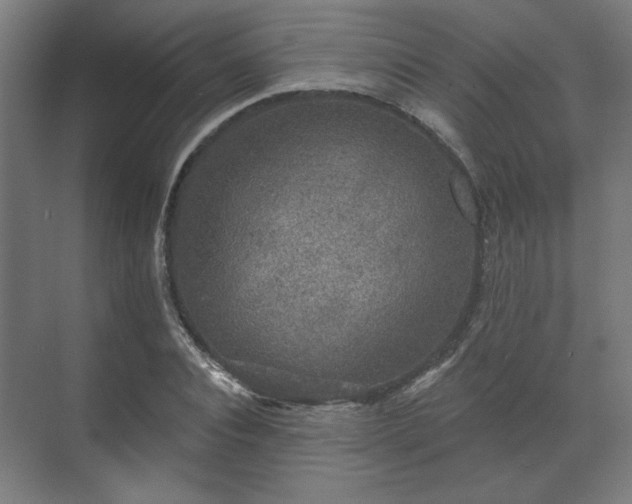 X0000070860928200606191312