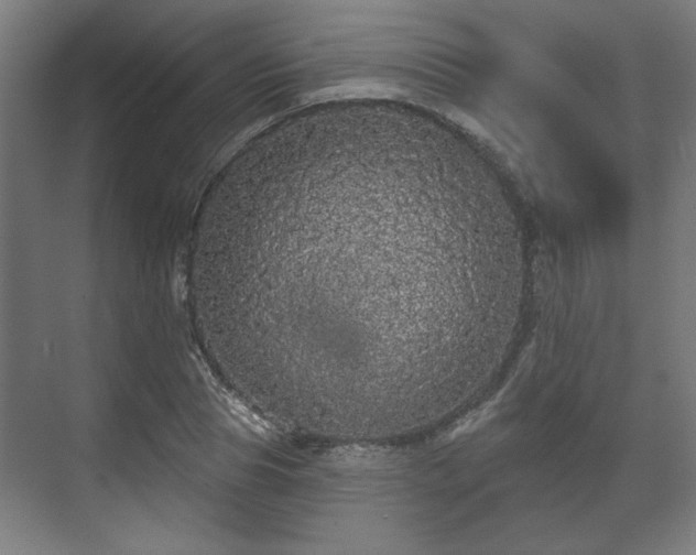 X0000070860929200606191312