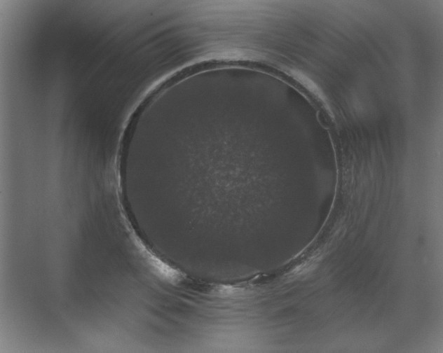 X0000070860935200606191313