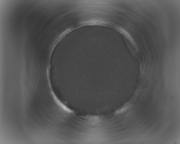 X0000070860946200606191313