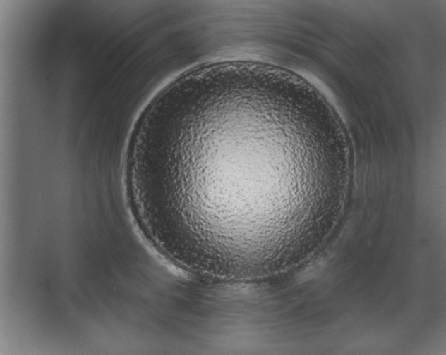 X0000070860949200606191313
