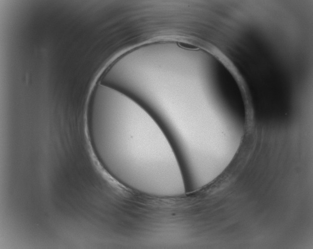 X0000070860955200606191313