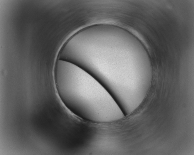 X0000070860959200606191313