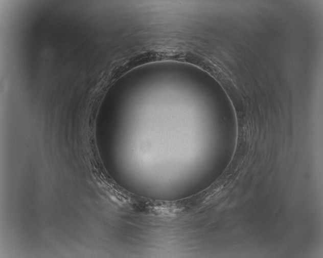 X0000070860961200606191312