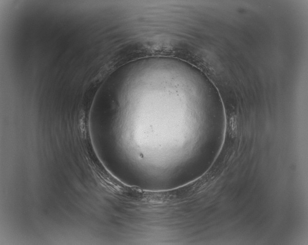 X0000070860963200606191312