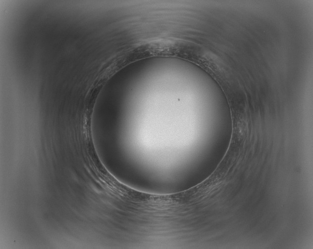 X0000070860964200606191312