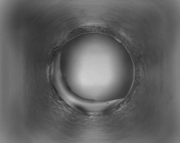 X0000070860965200606191312