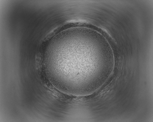 X0000070860967200606191312