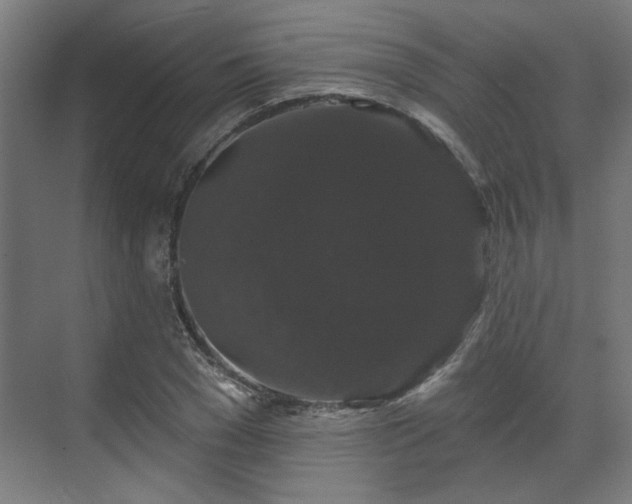 X0000070860977200606191312