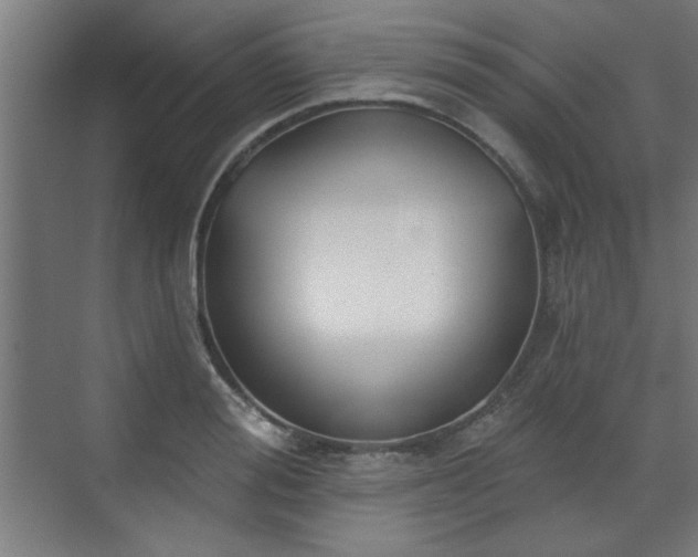 X0000070860988200606191312
