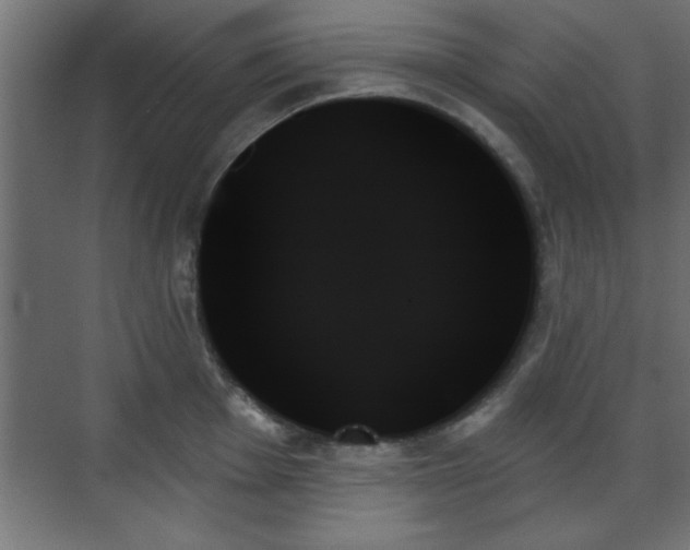X0000070861001200606191311