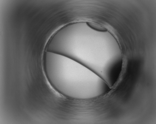 X0000070861003200606191311