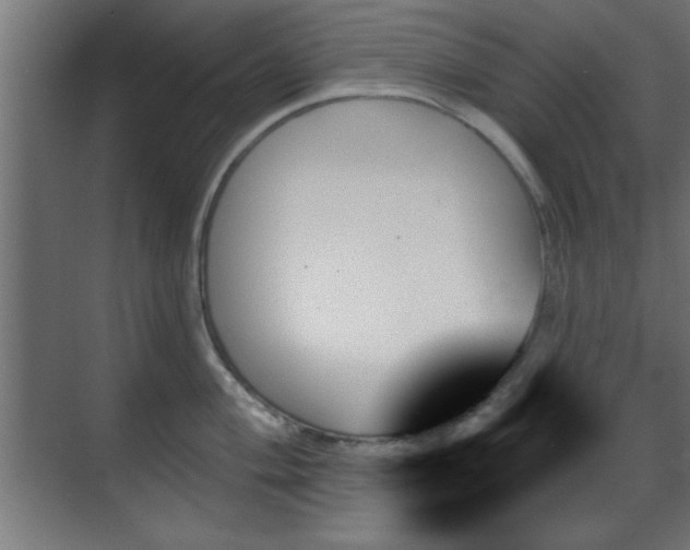 X0000070861004200606191311