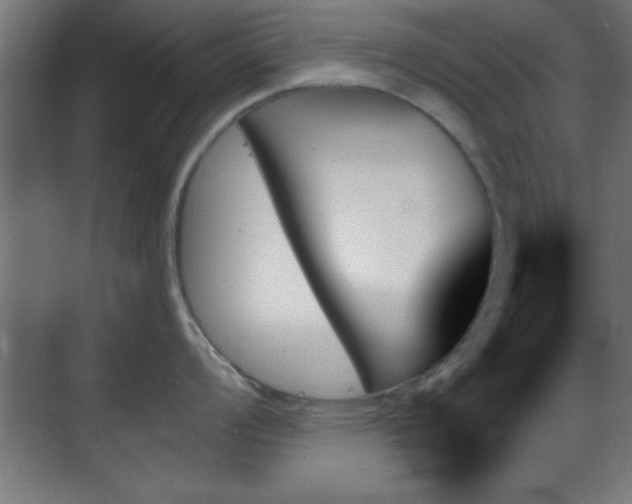 X0000070861008200606191311