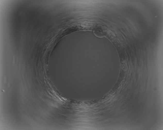 X0000070861009200606191311