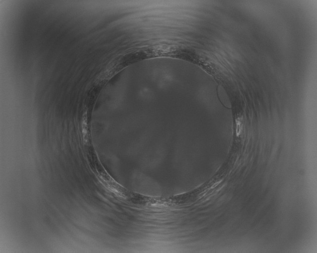 X0000070861011200606191311