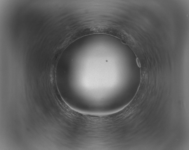 X0000070861012200606191311