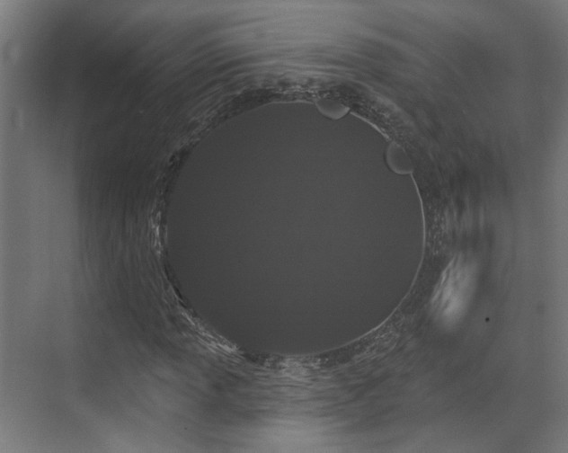 X0000070861013200606191311