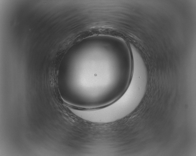 X0000070861014200606191311