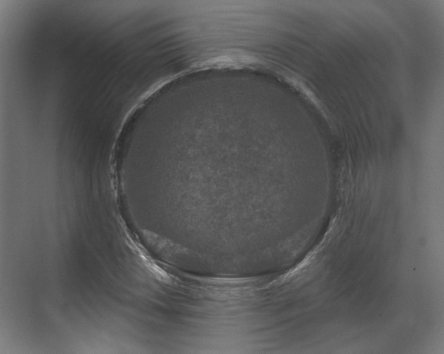 X0000070861018200606191311