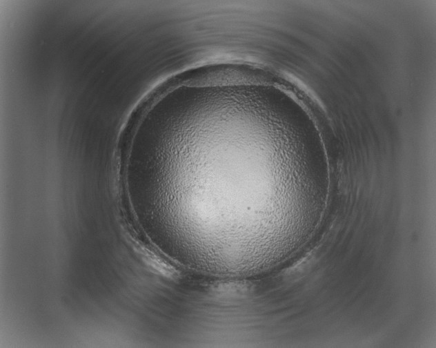 X0000070861021200606191311