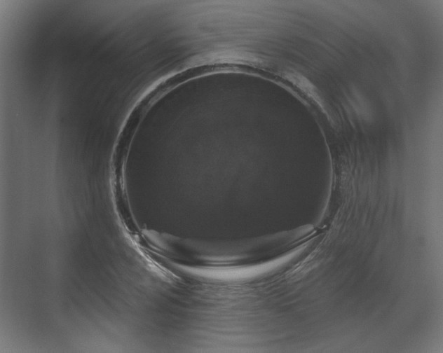 X0000070861024200606191311