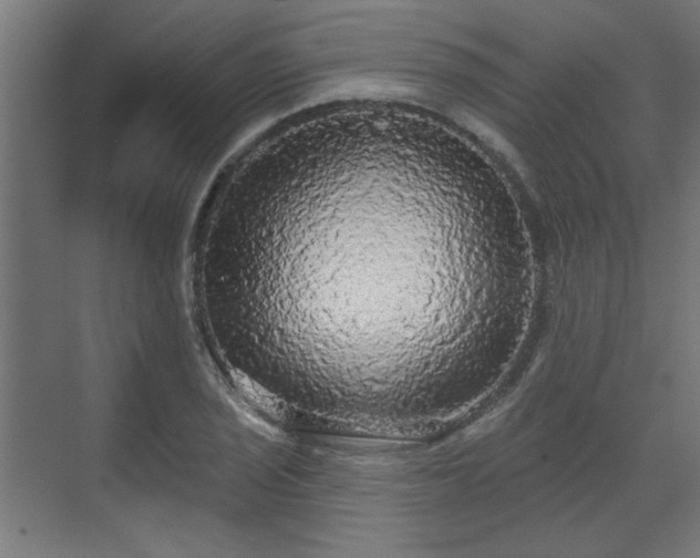 X0000070861029200606191311