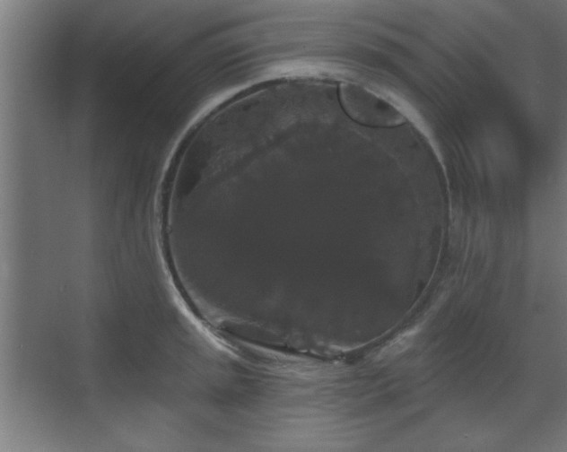 X0000070861045200606191311