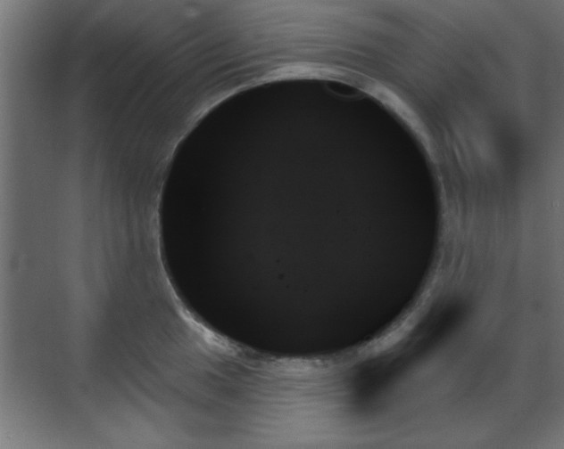 X0000070861049200606191311