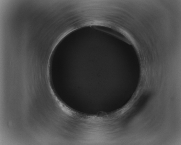 X0000070861050200606191311