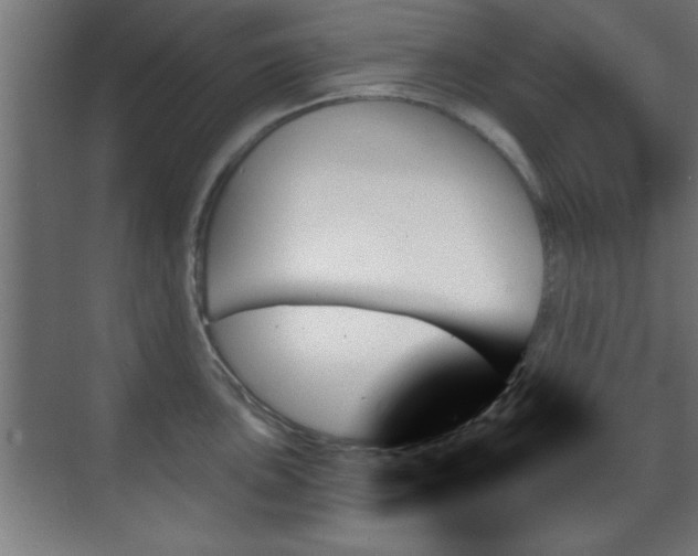 X0000070861051200606191311