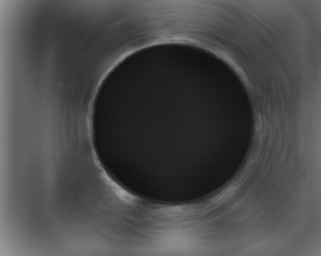 X0000070861054200606191311