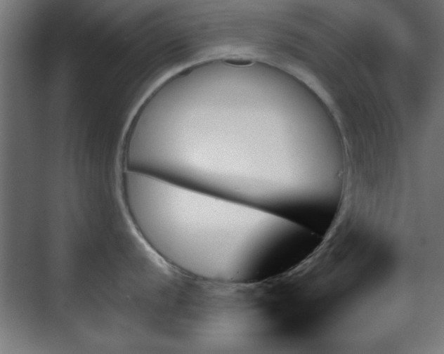 X0000070861056200606191311