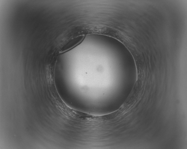 X0000070861058200606191310