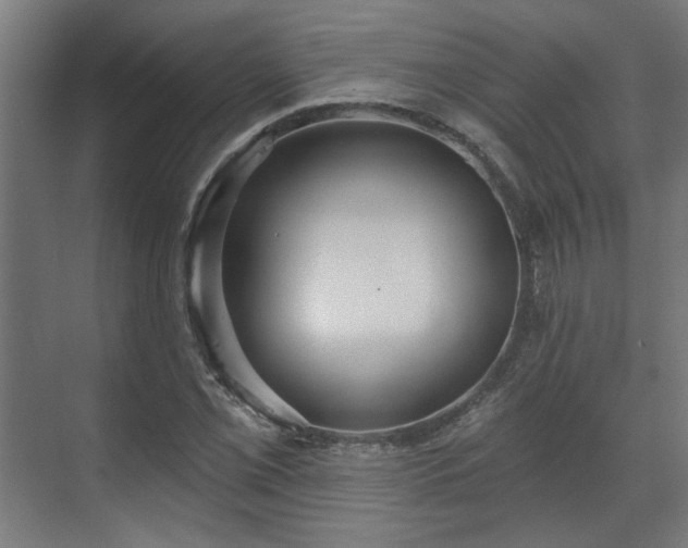 X0000070861069200606191310