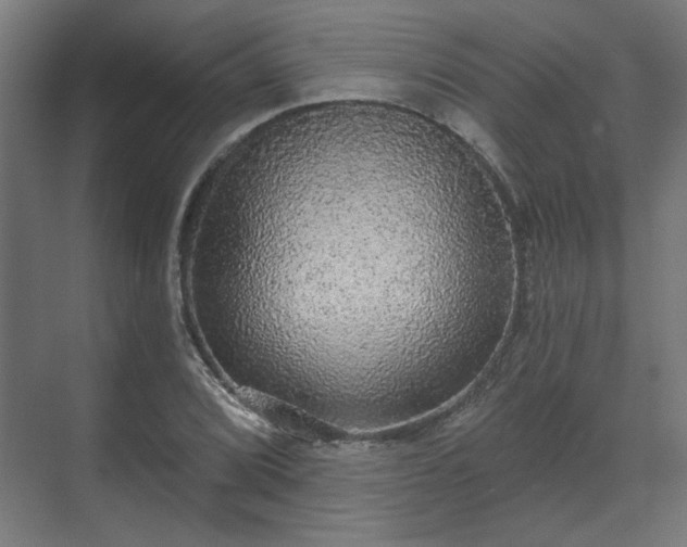X0000070861072200606191310
